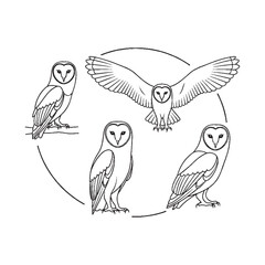 Fototapeta premium Owls in circle formation flying and standing