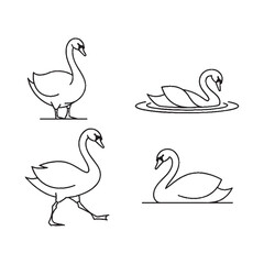 Fototapeta premium Four swans in different poses black and white line art illustration
