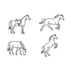 Fototapeta premium Horses in various poses with saddle and movement