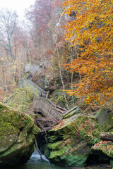 wooden bridge in nature