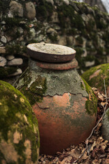 Obraz premium Ancient Clay Wine Jar Covered With Moss