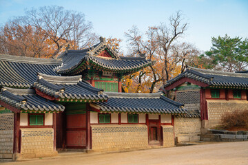 Obraz premium korean temple in autumn