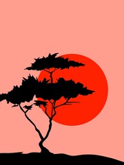 African Savanna Sunset Landscape with Acacia Trees Silhouette