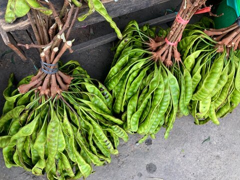 fresh bunches of petai or stinky beans at a traditional market