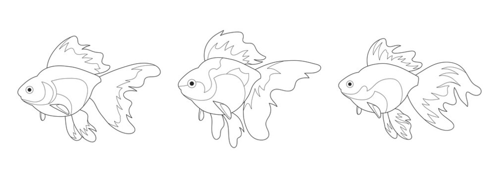 Ryukin Goldfish Vector Line Art with Various, Isolated Background