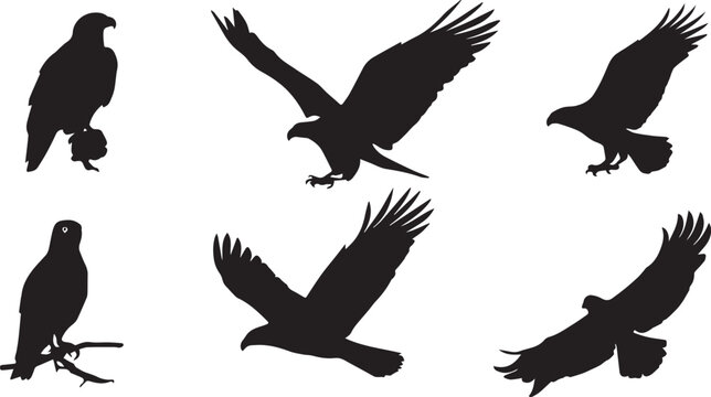 A striking black silhouette of a bird perched on a slender branch