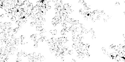 Obraz premium This abstract black and white image depicts a dense chaotic pattern resembling branches foliage or a fractured organic texture against a white background.