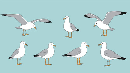 Various poses of white and grey seagulls standing and flying with wings spread against a flat blue sky background for nature design.