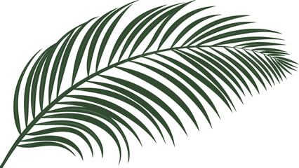 Fototapeta premium Elegant Palm Leaf Illustration Tropical Foliage Design Element.