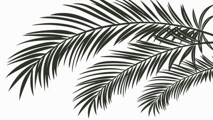 Palm Fronds Silhouette Tropical Foliage Design Element.