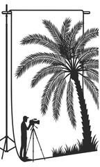 Silhouette of a Cameraman Filming a Palm Tree Against a Backdrop.