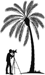 Silhouette of a photographer capturing a palm tree on a tripod.