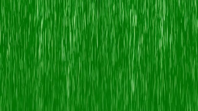 Green grass texture background