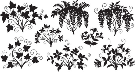 Black Silhouette Floral Elements with Leaves and Vines Isolated