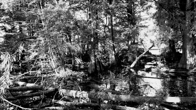 Veduta autunnale del parco naturale protetto dei Tassodi, nei pressi di Sarnico e Paratico, sul lago d'Iseo. Provincia di Bergamo, Lombardia, Italia.	