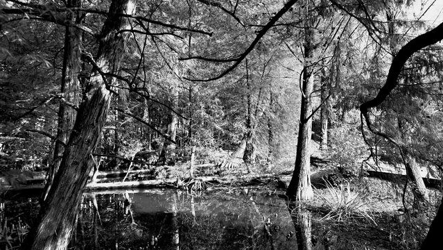 Veduta autunnale del parco naturale protetto dei Tassodi, nei pressi di Sarnico e Paratico, sul lago d'Iseo. Provincia di Bergamo, Lombardia, Italia.	