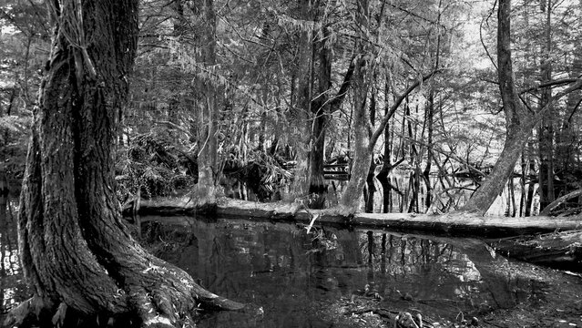 Veduta autunnale del parco naturale protetto dei Tassodi, nei pressi di Sarnico e Paratico, sul lago d'Iseo. Provincia di Bergamo, Lombardia, Italia.	