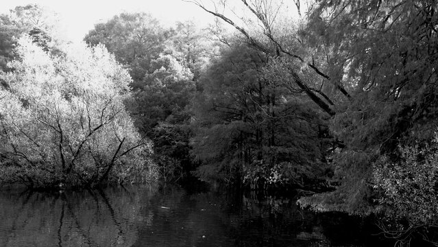 Veduta autunnale del parco naturale protetto dei Tassodi, nei pressi di Sarnico e Paratico, sul lago d'Iseo. Provincia di Bergamo, Lombardia, Italia.	