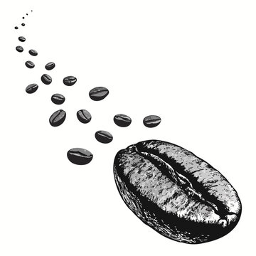 Artistic Coffee Bean Trail A Detailed Black and White Illustration.