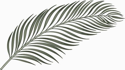 Obraz premium Elegant Palm Leaf Illustration A Tropical Botanical Design 2.