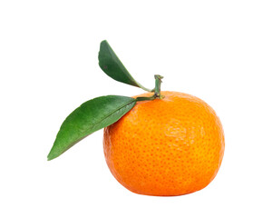 single tangerine with leaves isolated