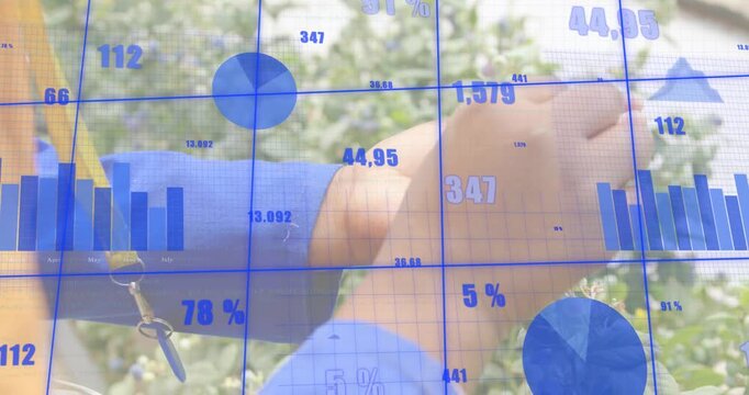 Person reaching into blueberry bush, picking and rotating berries as dashboard updating yield data