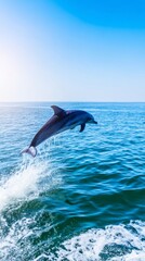 Fototapeta premium dolphin. Dolphin leaping from ocean water, splash in mid-air, natural sunlight. wildlife magazines, conservation campaigns, designed for nature documentaries and education. 