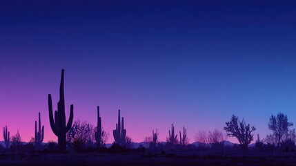Desert landscape silhouette against vibrant gradient sunset sky