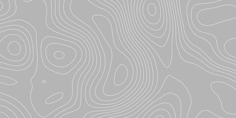 Abstract white and colorful contour line pattern, resembling a topographic map. The overall style should be minimalistic, modern, and artistic. wavy topographic map and curved line background. © TextureStock