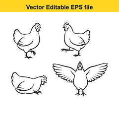 Obraz premium Editable vector chickens in various poses for farm design