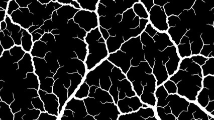 Fototapeta premium malbec. Abstract fungal mycelium network pattern with white filaments and organic branching on dark background. gardening catalogs, home-decor guides, designed for gardening and botanical catalogs.