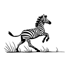 Fototapeta premium Zebra. Zebra simple black and white line art vector logo