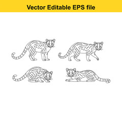  Four tigers in different poses vector illustration