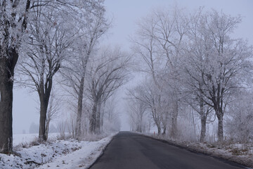 Obraz premium empty local road in winter in light fog