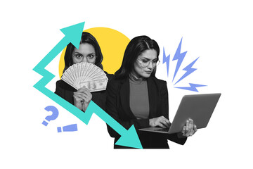Composite photo collage of serious businesswoman type laptop arrow development money income success usd isolated on painted background