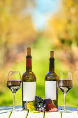Wine Tasting Outdoors, Wine bottles without Label and glasses staged on a table in a vineyard in Napa Valley AVA, Napa County, California, USA, during autumn.