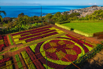 Obraz premium Botanical Garden of Funchal with various flowers and flower beds