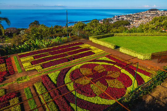 Botanical Garden of Funchal with various flowers and flower beds