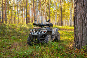 Fototapeta premium A real ATV in a summer forest on a sunny day