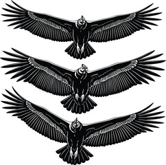 Obraz premium Black raven birds with wings spread in flight silhouette illustration set, dramatic flying crow vector design isolated on white background