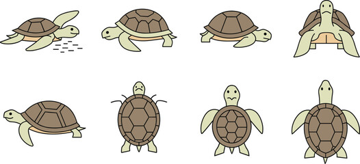 Cute Sea Turtle Character Illustration Set Showing Multiple Views and Poses (Swimming, Front, Back, Top) in Simple Cartoon Style for Education, Stickers, and Vector Design © MstSuborna
