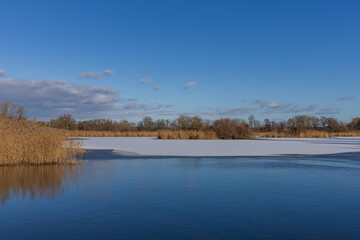Calm winter lake with reeds and melting ice under blue sky.