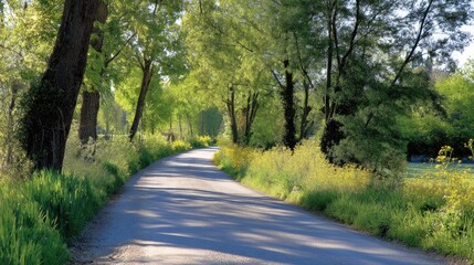 Obraz premium Scenic Tree-Lined Pathway Through Lush Green Countryside Landscape