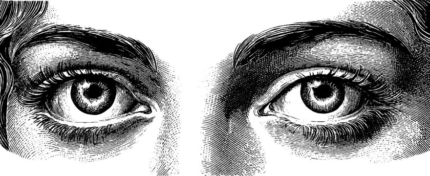 Anonymous portrait eyes and gaze study in vintage botanical engraving style