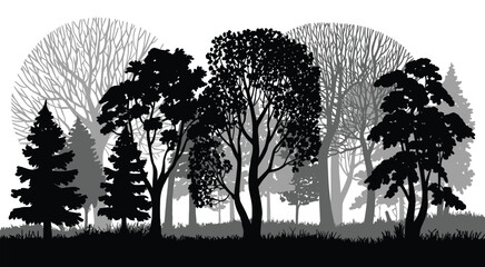 Fototapeta premium Silhouettes of Bare Trees and Fir Trees in Autumn Park Forest, Vector Illustration of Woodland Landscape, Seasonal Nature Silhouette Design