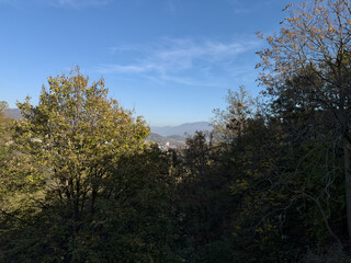 Obraz premium trees and sky