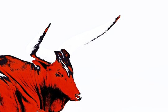 Close up of a big Ankole Cow mixed media