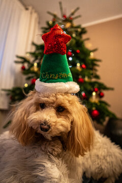 Weihnachten 