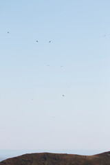 Silent Circles Above the Volcanoes