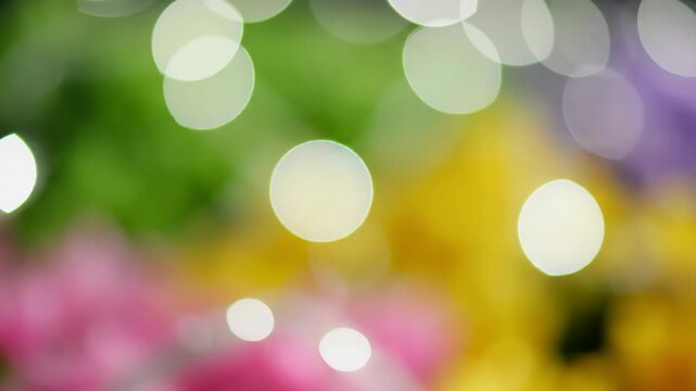 Abstract bokeh lights background with pastel colors. Blurred circles of pink yellow and green light. Easter and spring holiday concept